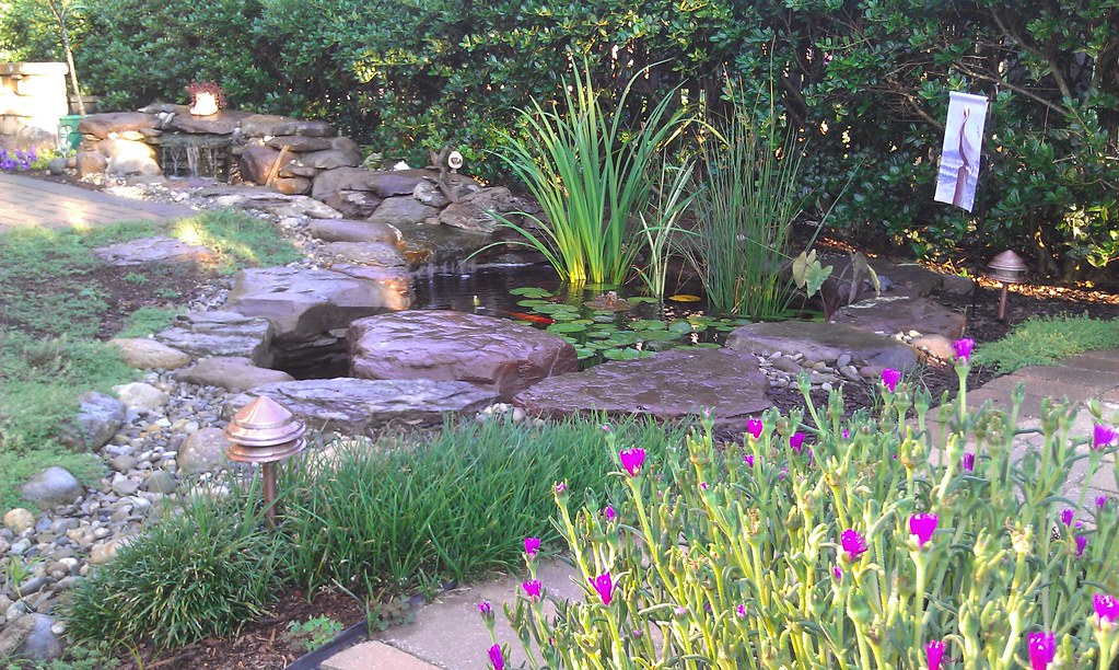Pond with center stone koi lillies and a waterfall backyard pond by Pondscapes Maryland