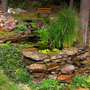 Backyard Pond with waterfall and flower garden - Pondscapes Maryland