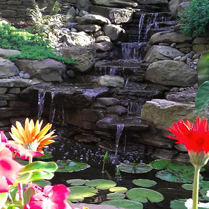 Waterfall with flowers Pondscapes Maryland