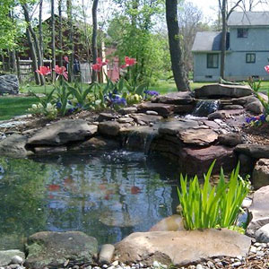 Pond surrounded by spring flowers -  Pondscapes Maryland