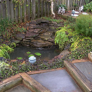 Pond with custom steps - Pondscapes Maryland