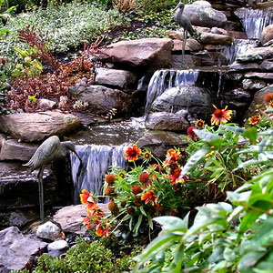 Waterfall with plantings Pondscapes Maryland